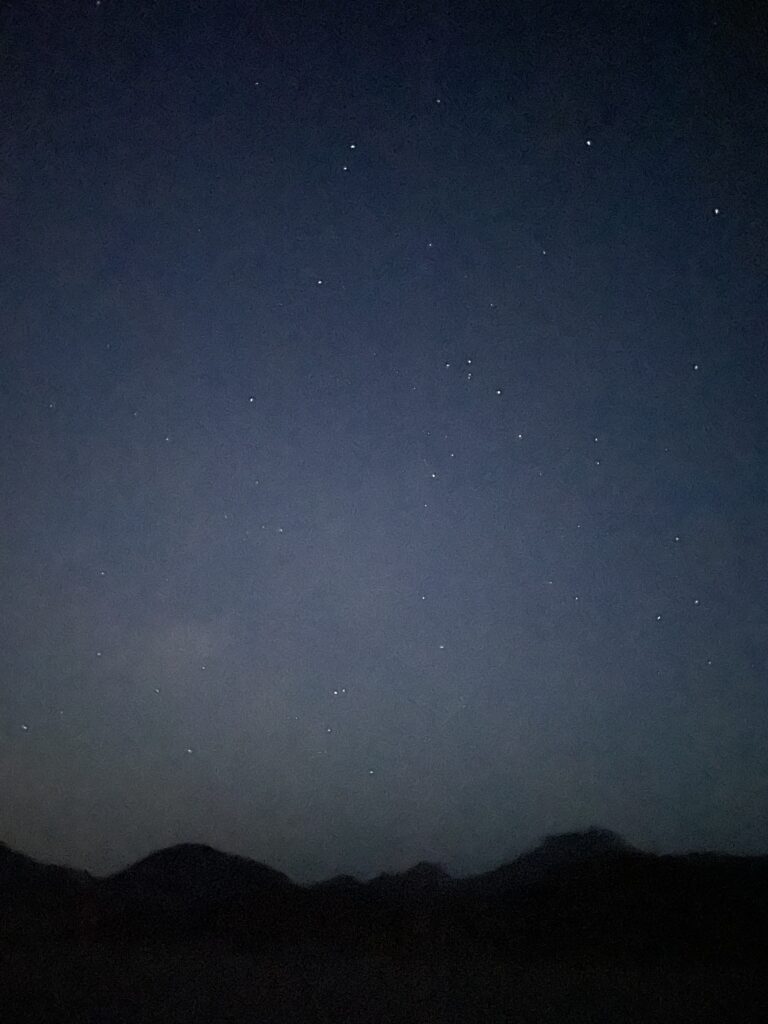 img 7905
